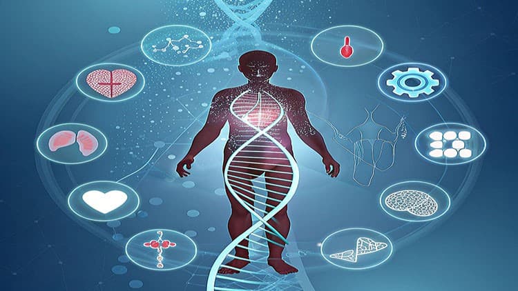 medical genetics learn abnormal human variations