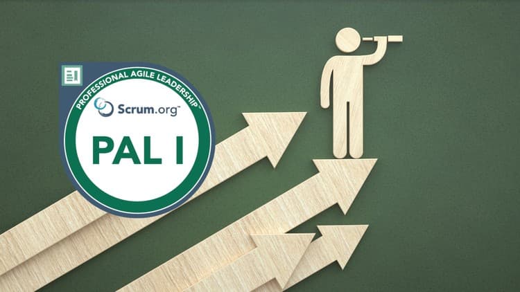 Master the Scrum PAL-I Certification: Professional Practice Questions