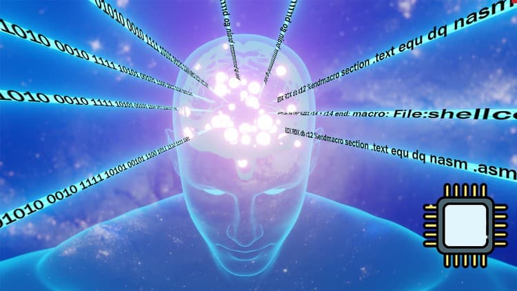 Mastering x86-64 Assembly Programming from Scratch |2023ASM+