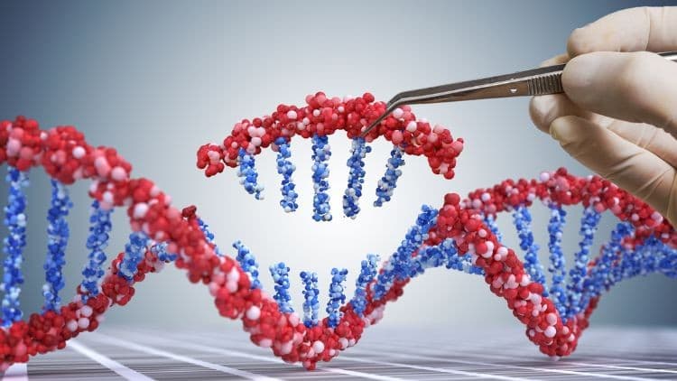 Genetic engineering using CRISPR Course