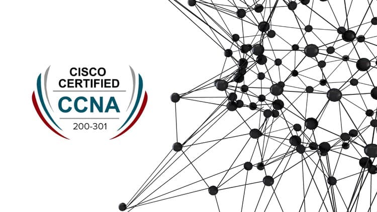 CCNA (Cisco Certified Network Associate) Practice Exams 