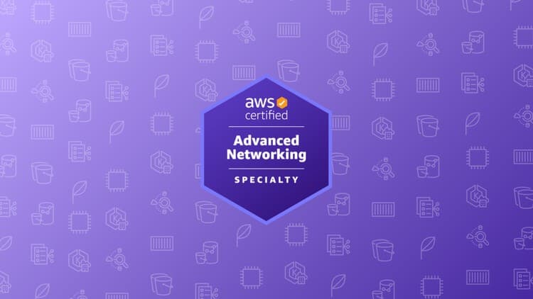 AWS Certified Advanced Networking Specialty Practice Exams