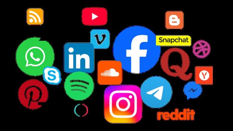 Ultimate Social Media Marketing 2025 + Master 9 Ad Platforms