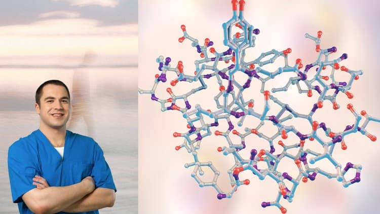 Hormonal Health Mastery: Stress, Sex, Diet & Steroid Effects